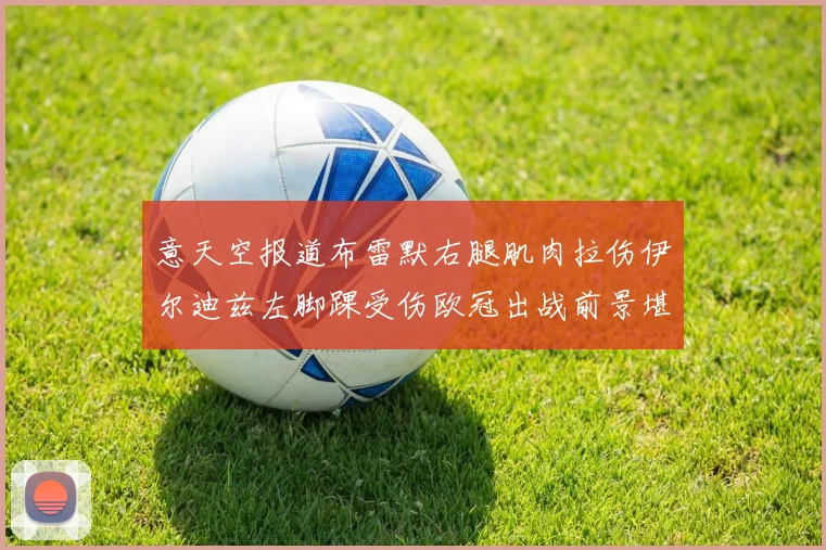 意天空报道布雷默右腿肌肉拉伤伊尔迪兹左脚踝受伤欧冠出战前景堪忧