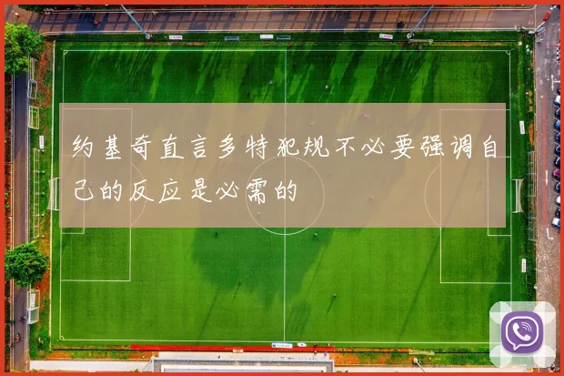 约基奇直言多特犯规不必要强调自己的反应是必需的